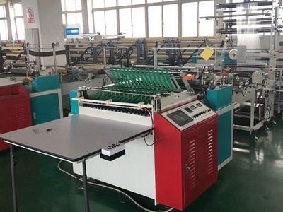 Многофункциональная машина с компьютерным управлением для производства пакетов с боковым запечатыванием и термической резкой DRQ-G